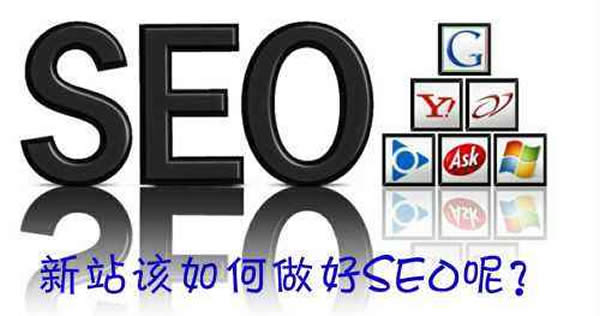 SEO优化新站 SEO优化新站