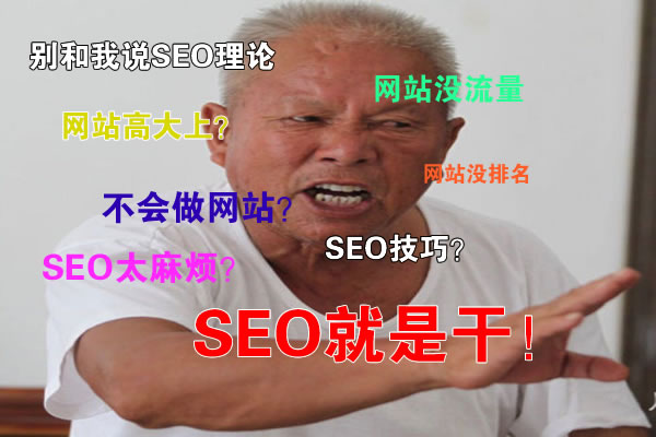 网站seo需要干