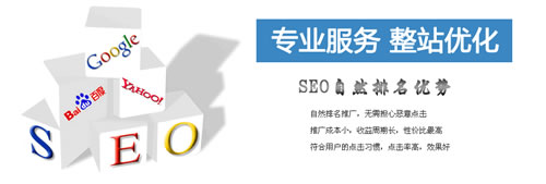 徐州seo优化策略