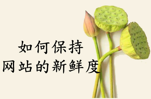 如何保持网站的新鲜度
