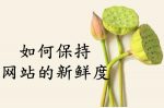 网站新鲜度