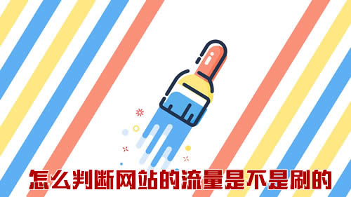 怎么判断一个网站的流量是不是刷的?